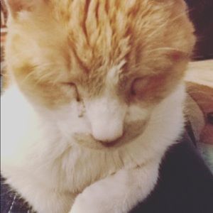 Meet your Posher, Julia